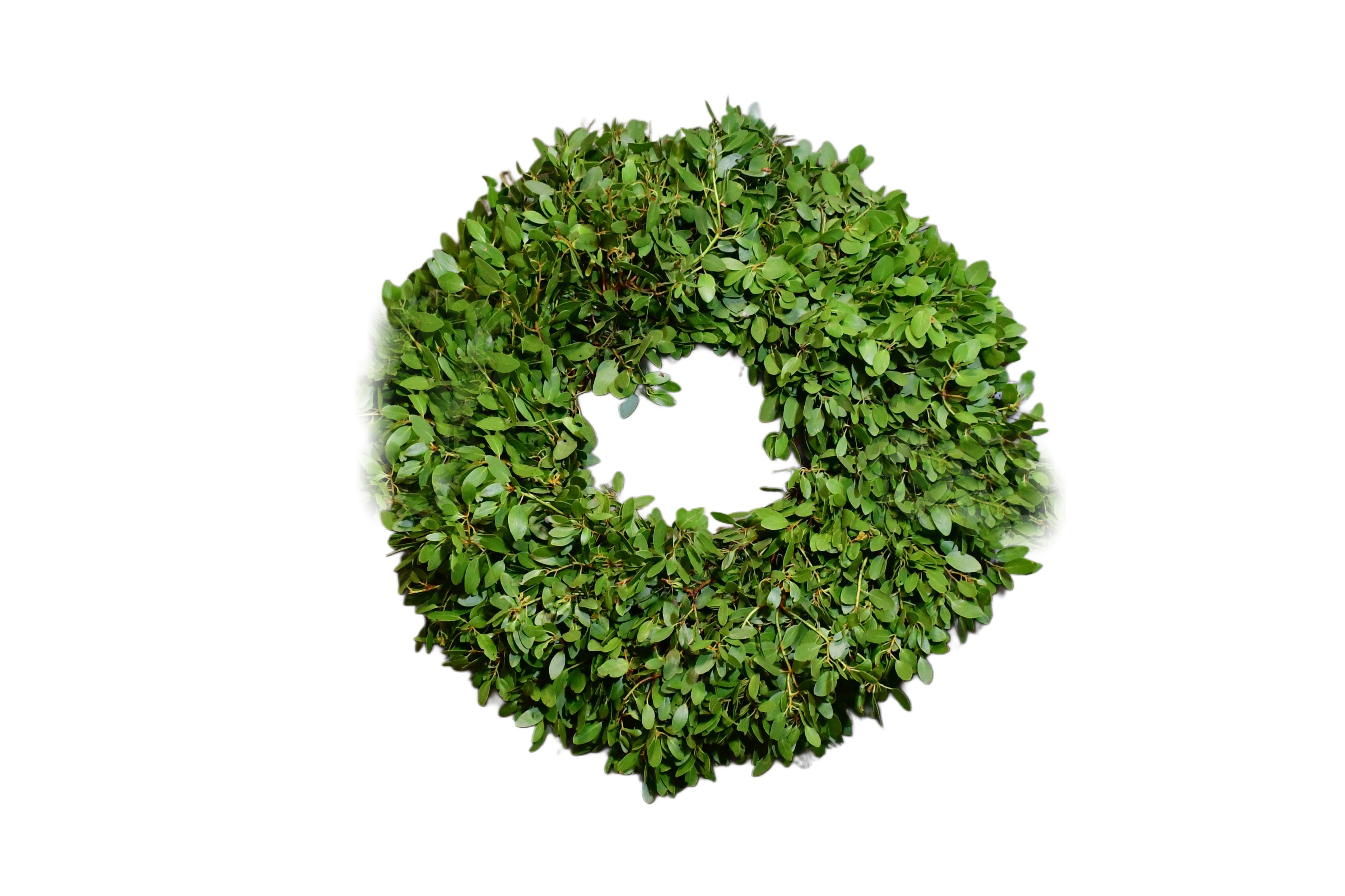 Manzanita Wreath – DIY Edition