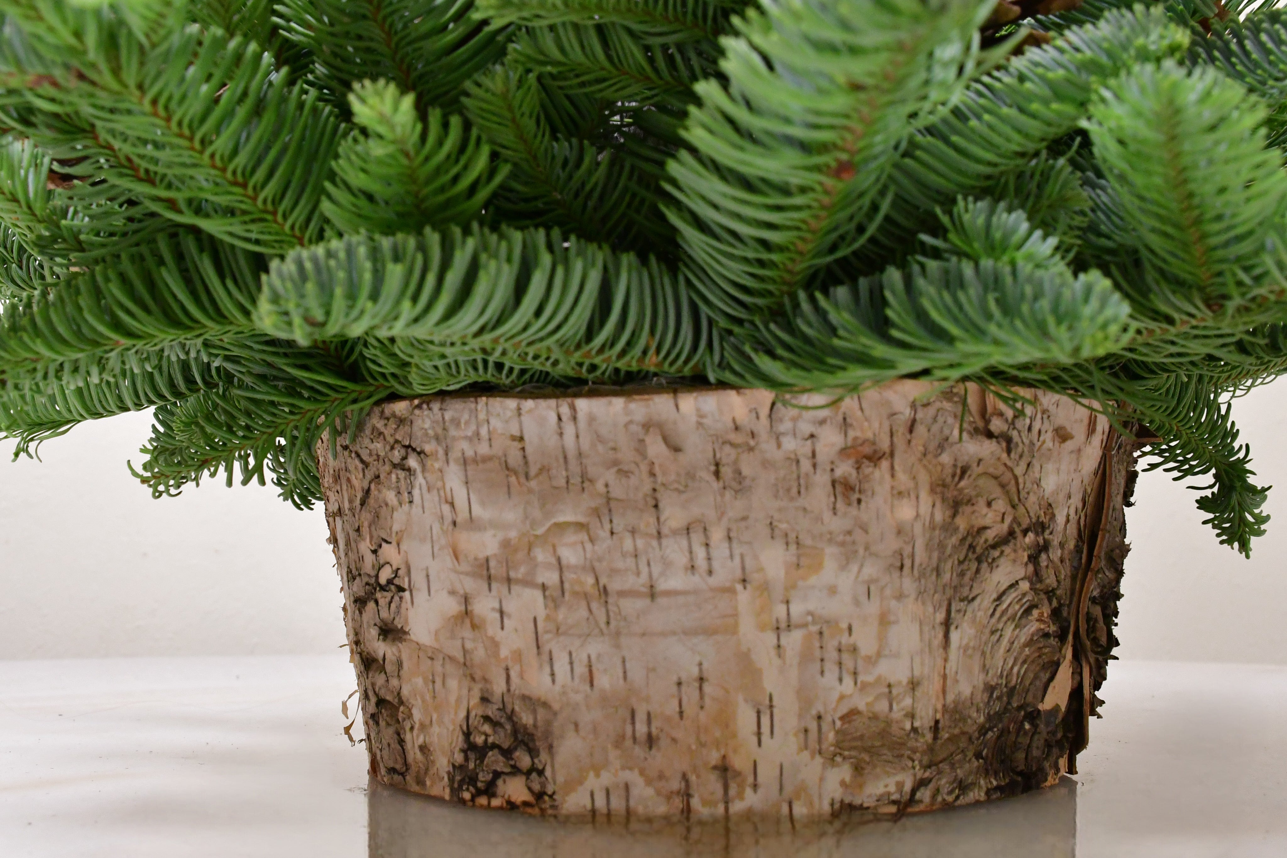 owl Birch holiday centerpiece