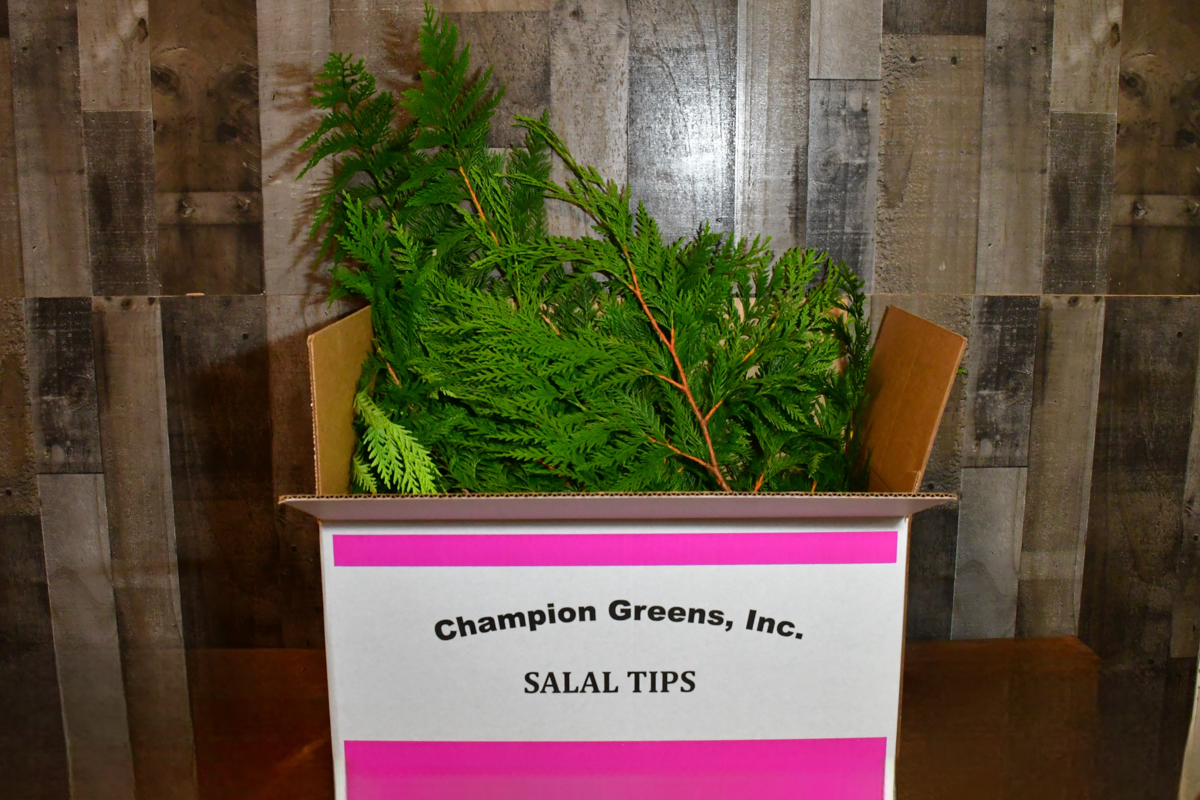 Western red cedar box