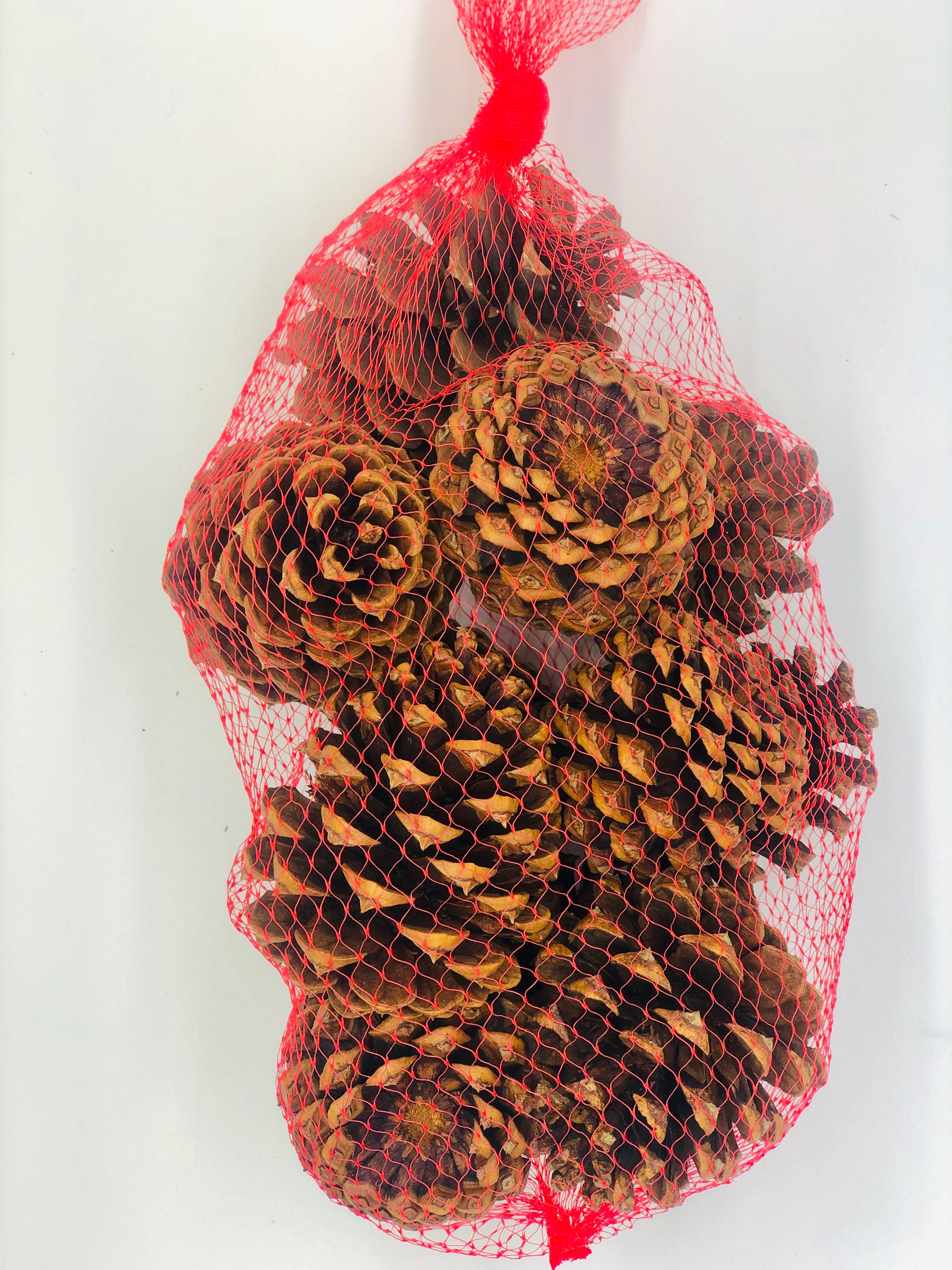 Buy Scented Pine Cone Collection