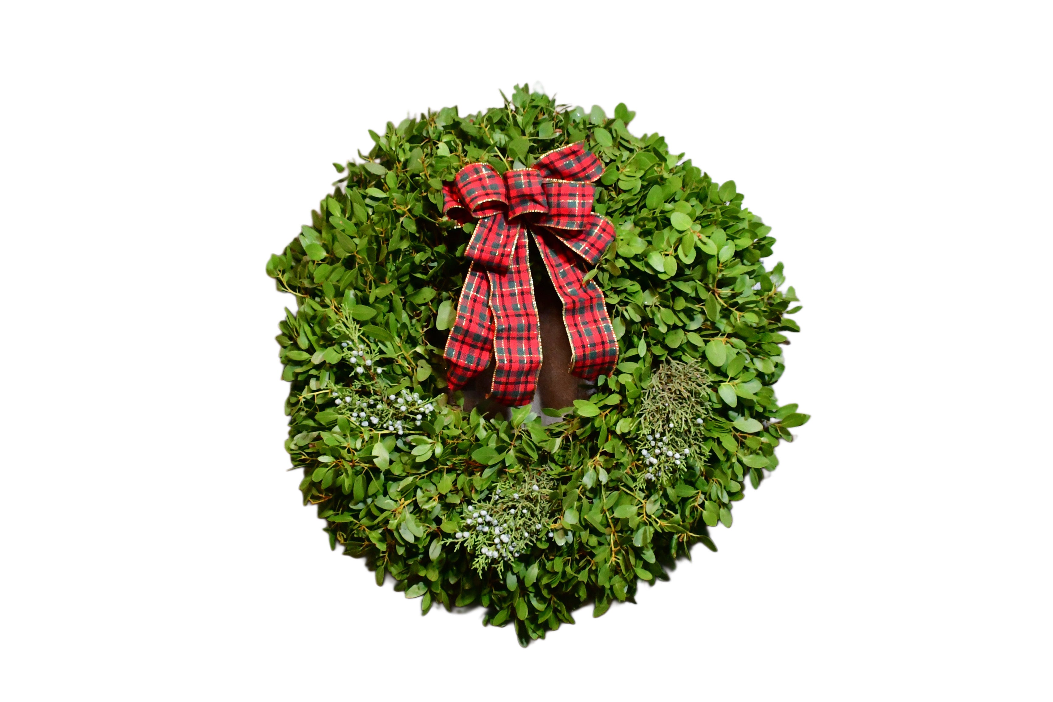 Highland Evergreen Manzanita Wreath