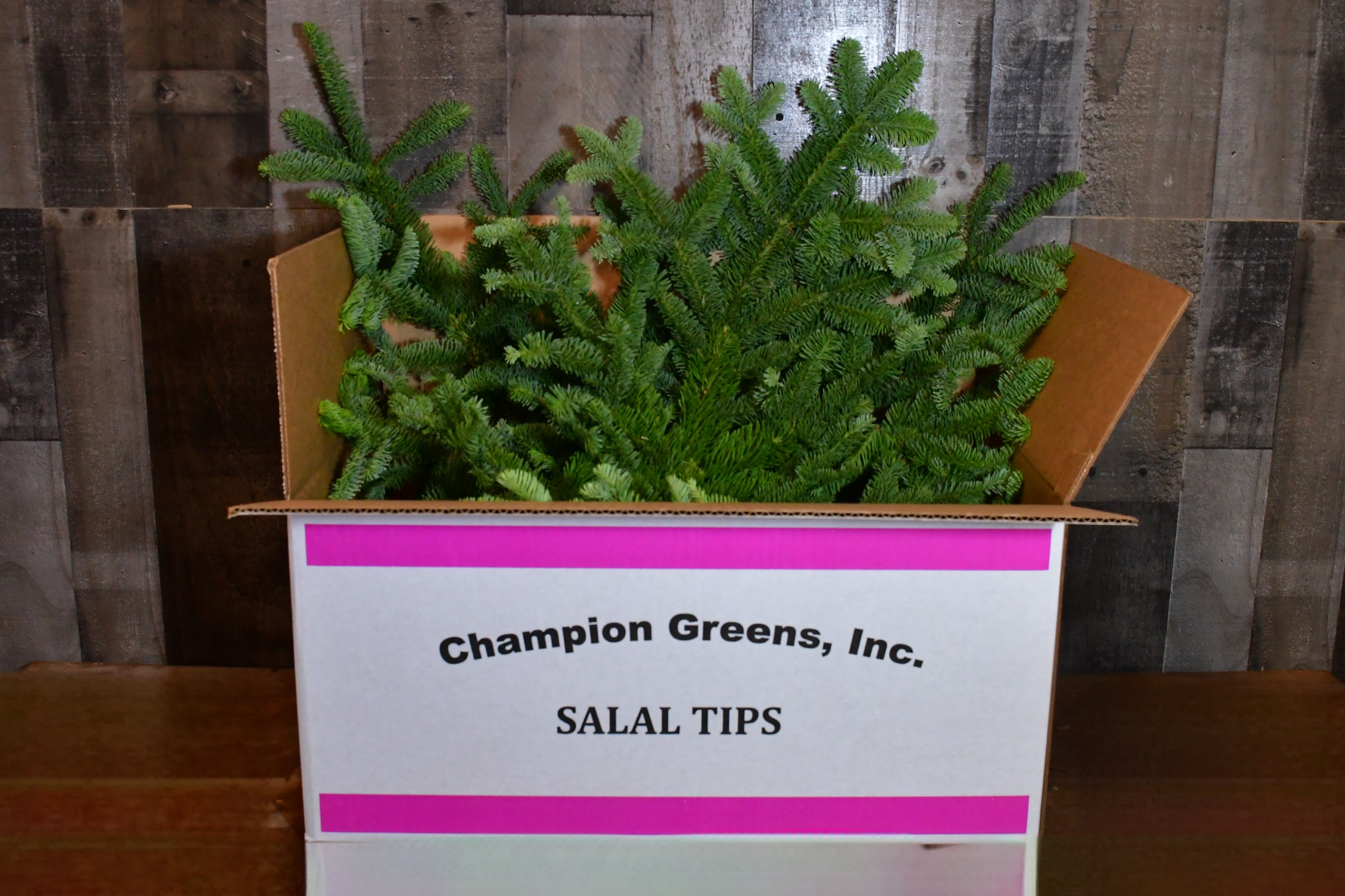 Fresh Noble fir bough in box