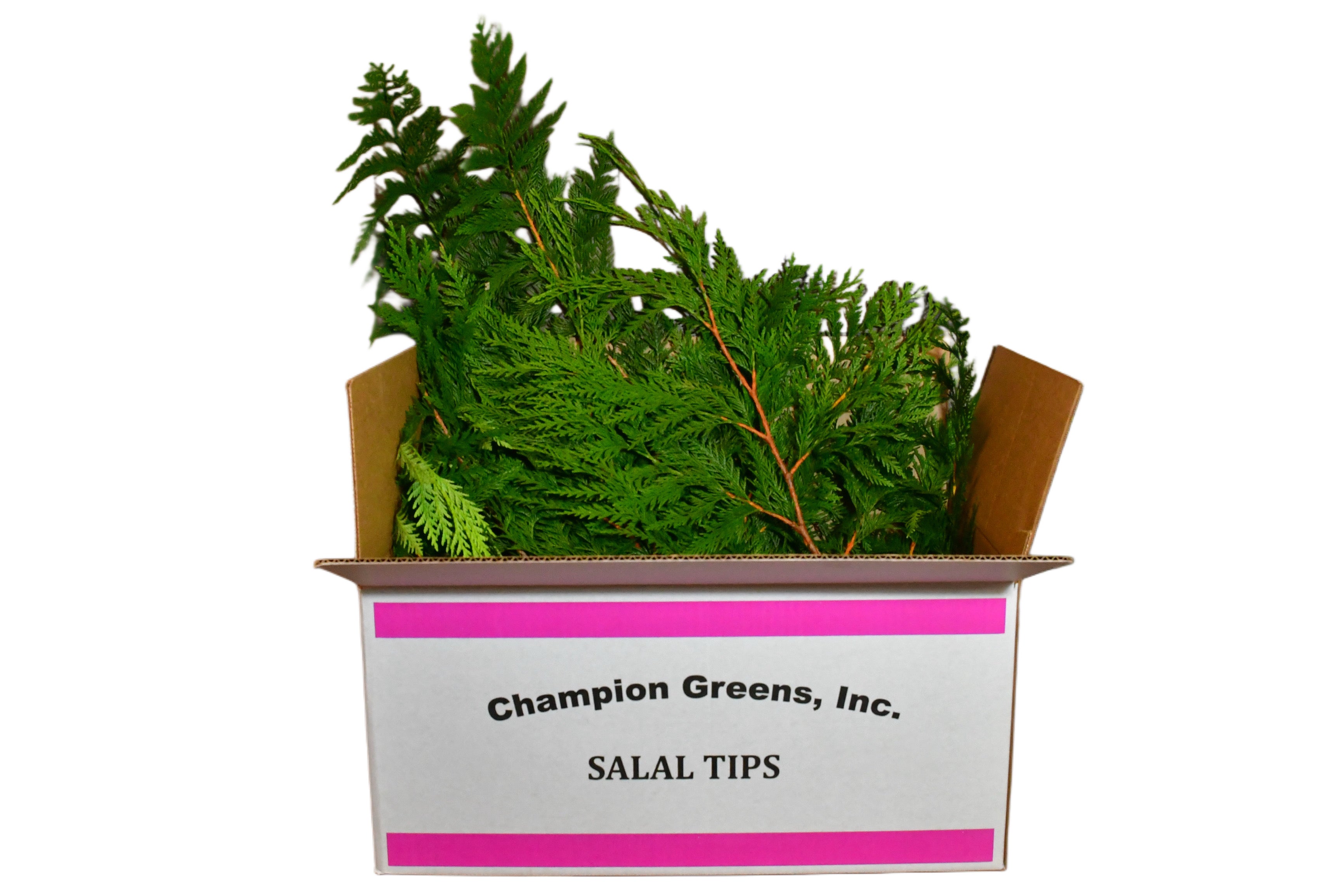 Western red cedar box