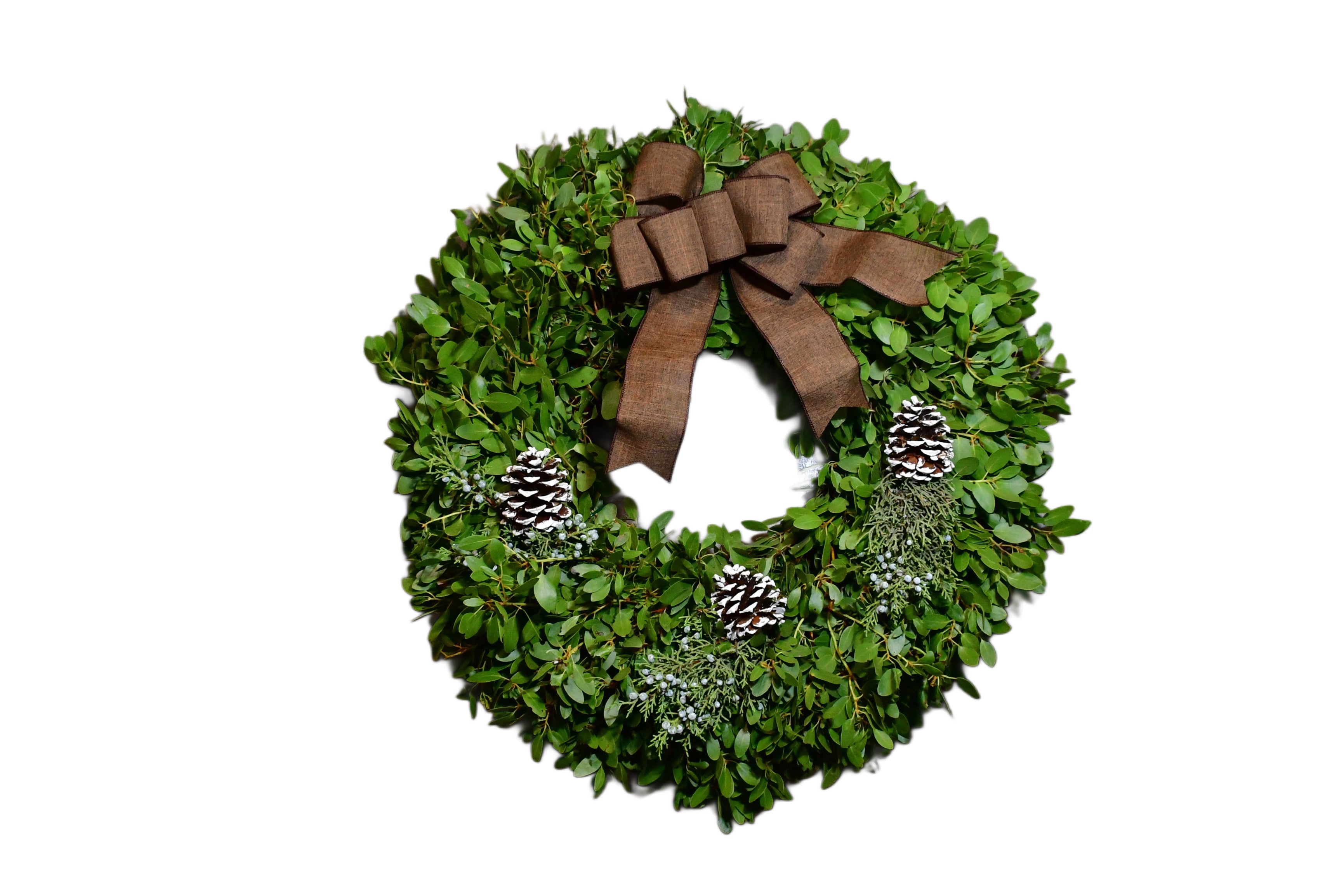 Evergreen Harvest Manzanita Wreath
