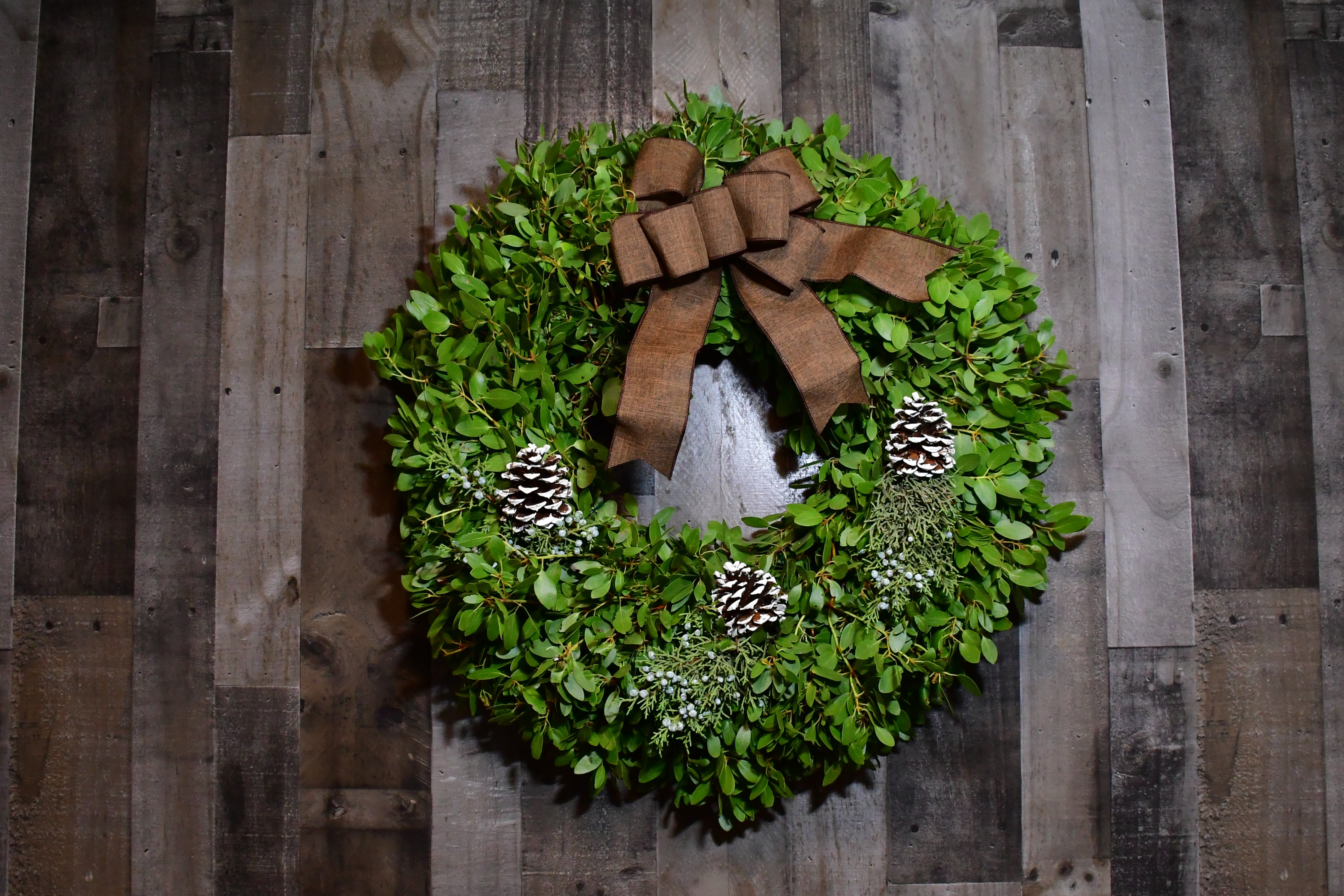 Evergreen Harvest Manzanita Wreath
